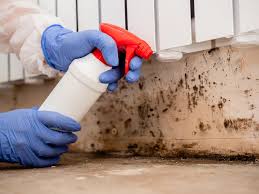 Best Commercial Mold Inspection  in Lincoln Beach, OR